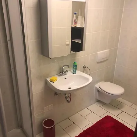 1-zimmer Apartment, 45 Qm, Im Weinort Neustadt-duttweiler * Neustadt an der Weinstrasse
