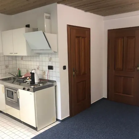 1-zimmer Apartment, 45 Qm, Im Weinort Neustadt-duttweiler *