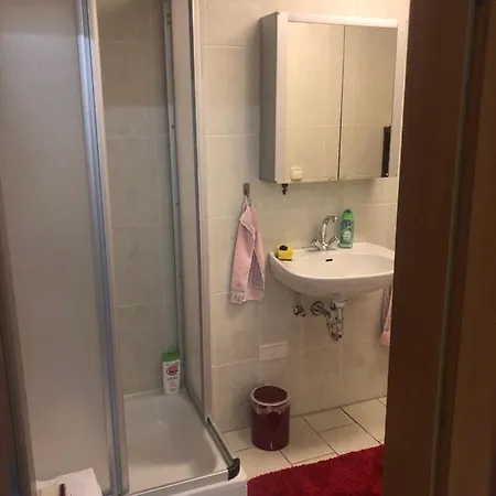 Apartment 1-zimmer Apartment, 45 Qm, Im Weinort Neustadt-duttweiler *