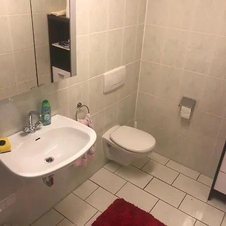 Apartment 1-zimmer Apartment, 45 Qm, Im Weinort Neustadt-duttweiler